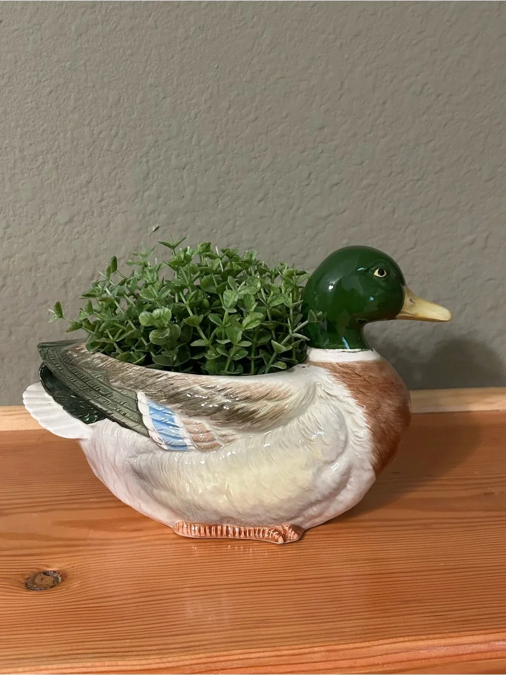 Otagiri Ceramic Mallard Duck Planter in Green, Brown, White